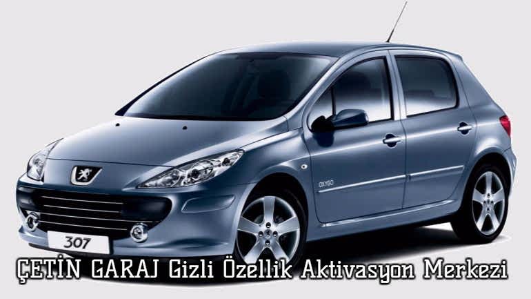 Peugeot 307